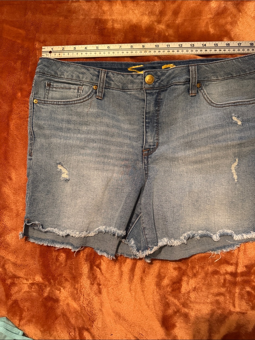 Classic Light Blue Denim Frayed Hem Women’s Shorts